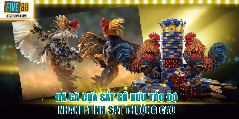 Đá gà cựa sắt sở hữu tốc độ nhanh tính sát thương cao