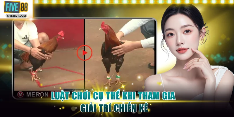 Luật chơi cụ thể khi tham gia giải trí chiến kê