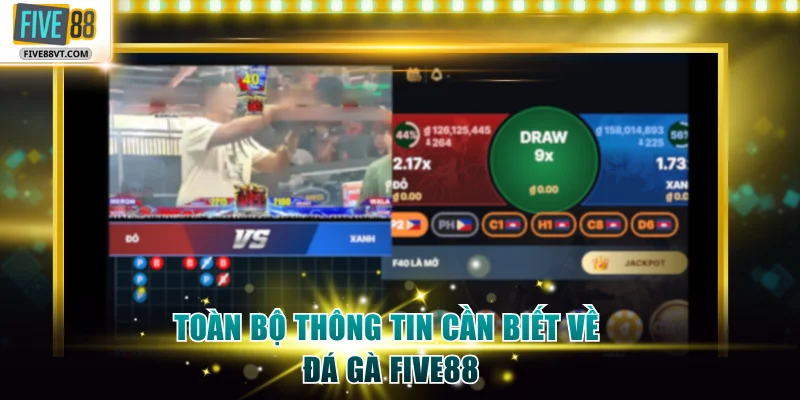 Toàn bộ thông tin cần biết về đá gà Five88