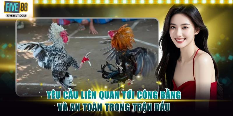 Yêu cầu liên quan tới công bằng và an toàn trong trận đấu